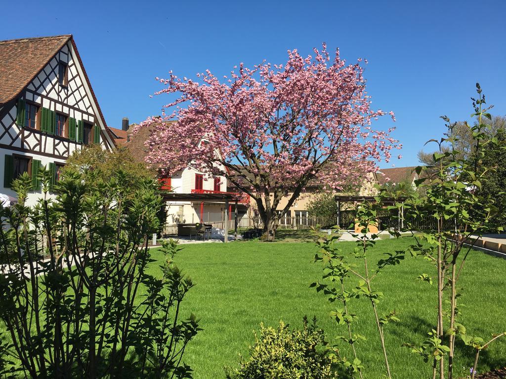 Ferienhotel Bodensee Berlingen Exteriér fotografie